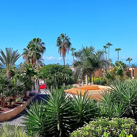 Borinquen Charming And Modern Apartament Playa Feñabe